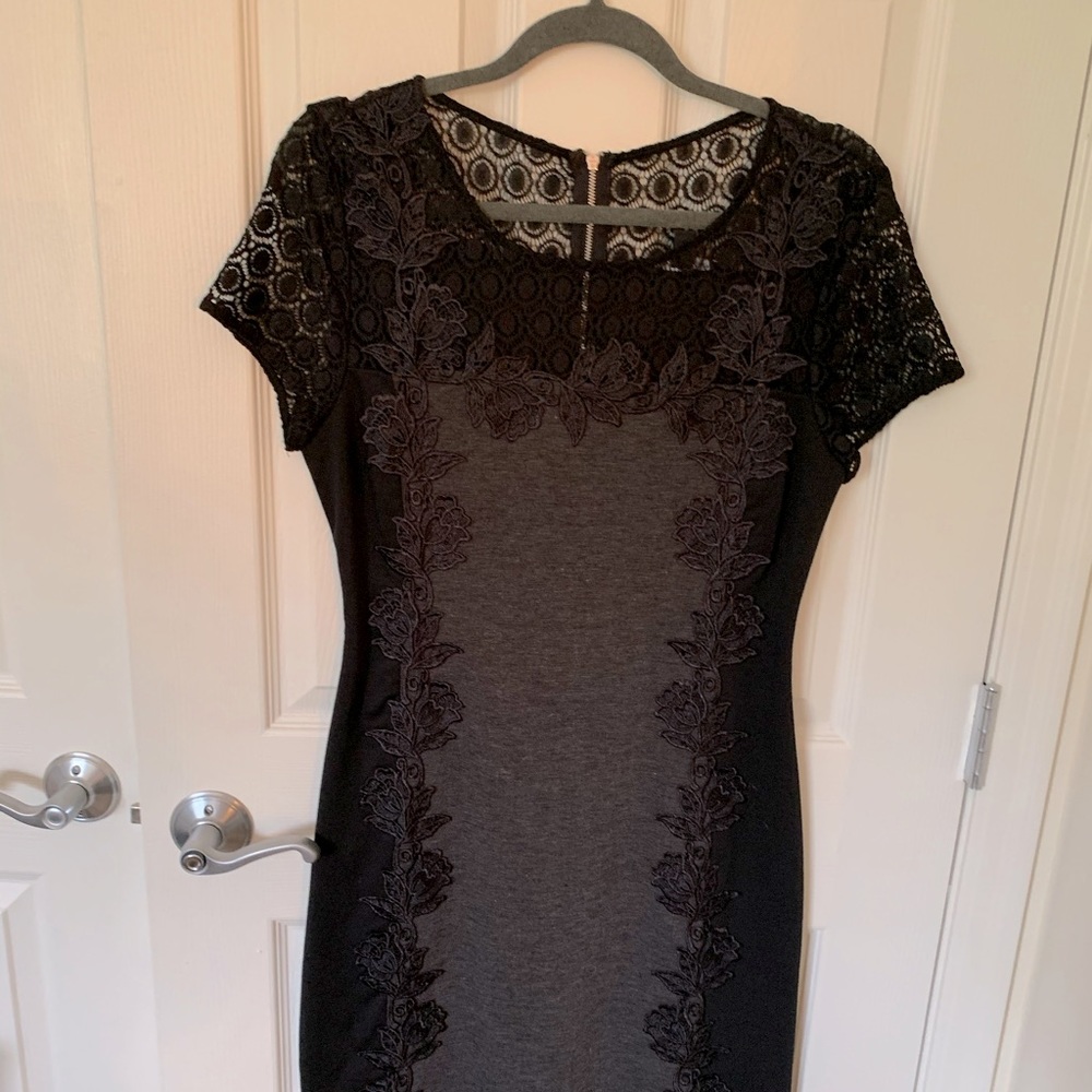 41 Hawthorn Fitted Lace Detail Dress